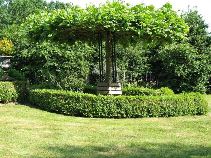 Erfgoedlogies Bed And Breakfast 'T Olde Hof Westervelde Zewnętrze zdjęcie